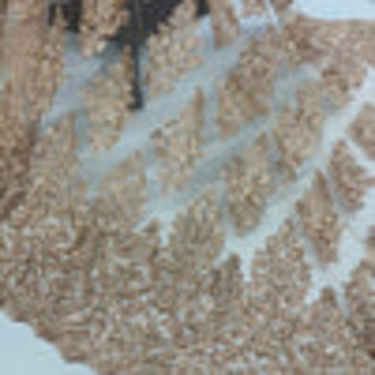 1 Yard Champagne Beaded Embroidered Lace Fabric on 100% Polyester Mesh, 50" Width